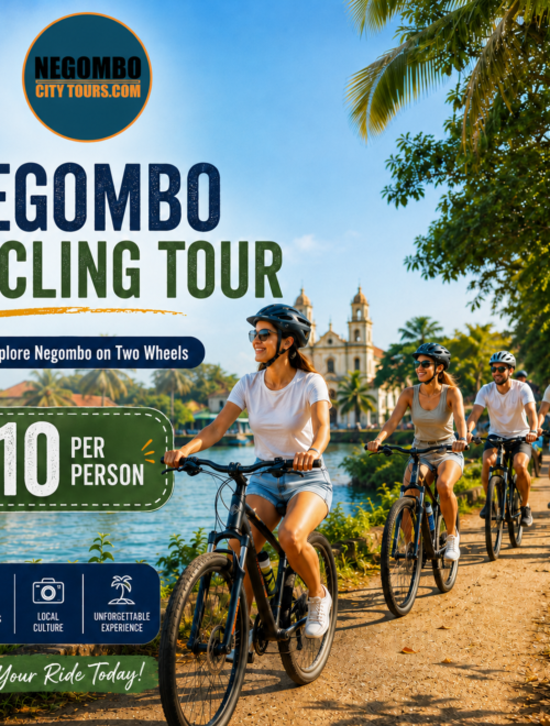 Negombo Cycling Tour
