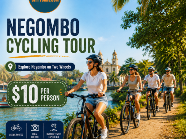 Negombo Cycling Tour