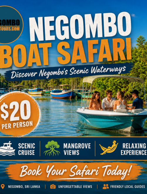 Negombo Boat Safari