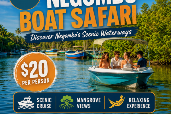 Negombo Boat Safari