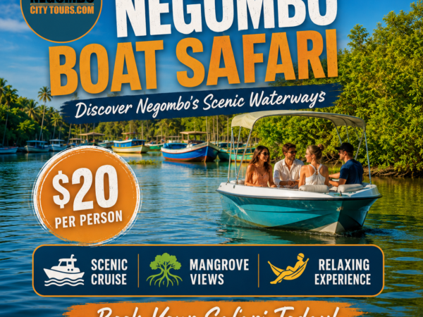 Negombo Boat Safari